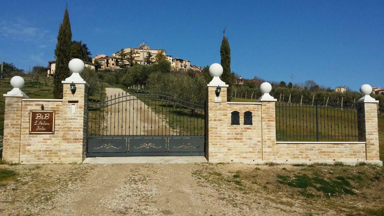 B&B L' Antica Fonte Spinetoli Eksteriør bilde